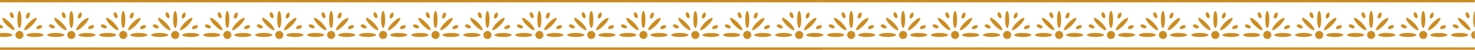 Frise logo