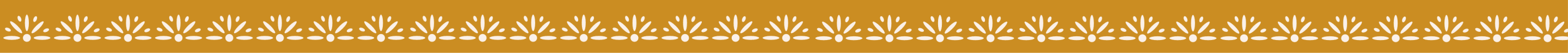 Frise logo