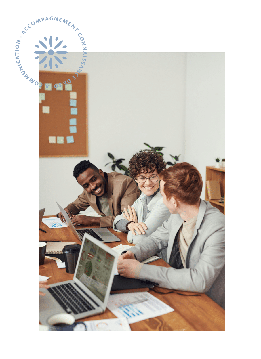 Groupe en travail d'intelligence collective avec PCM process communication model
