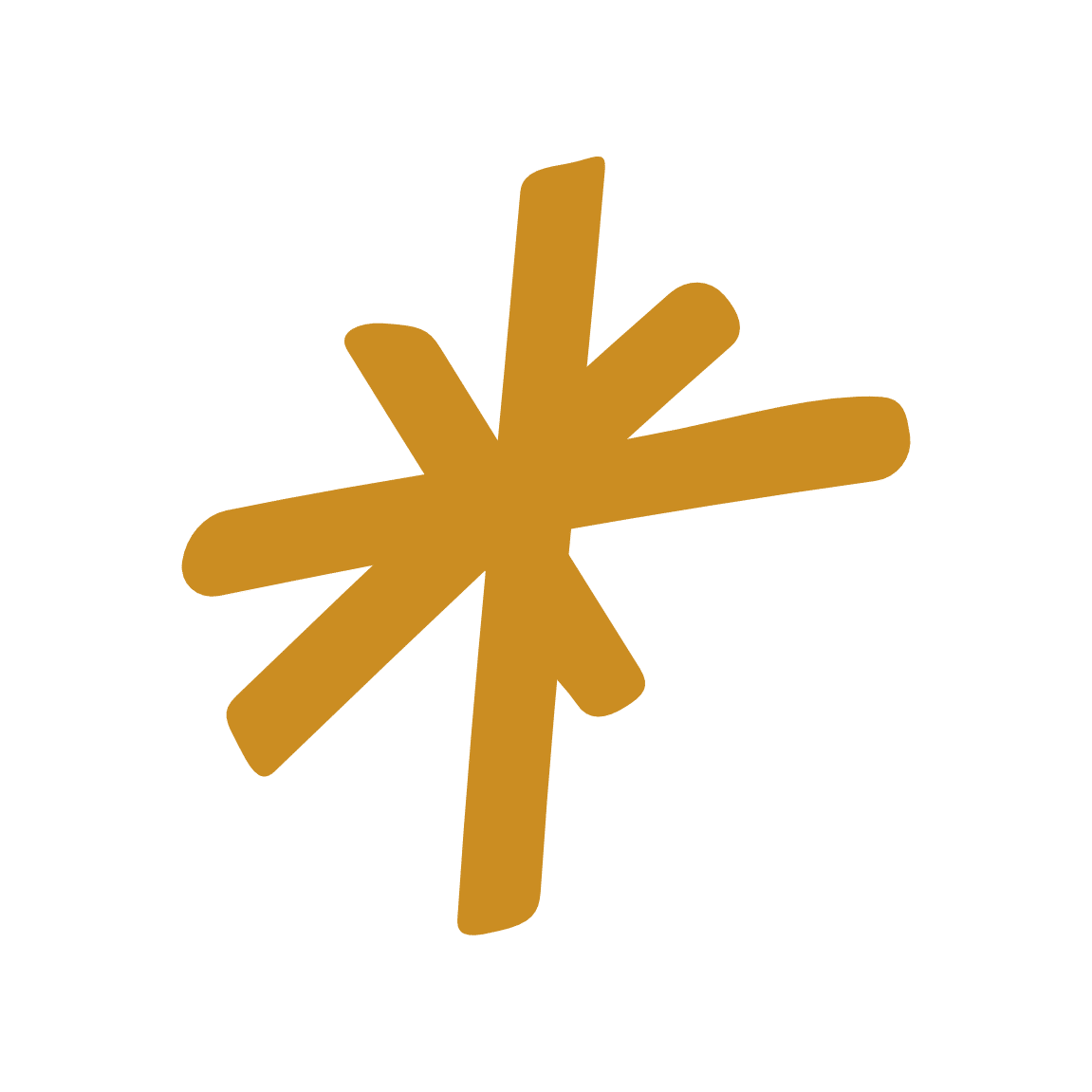 Icone étoile - coaching et intelligence collective
